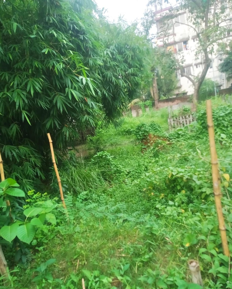 Image of হৃদয় মিয়া